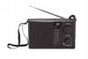 RADIO PORTATIL RECARGABLE AUDIOPRO AM/FM/SW/USB/SD AP02042